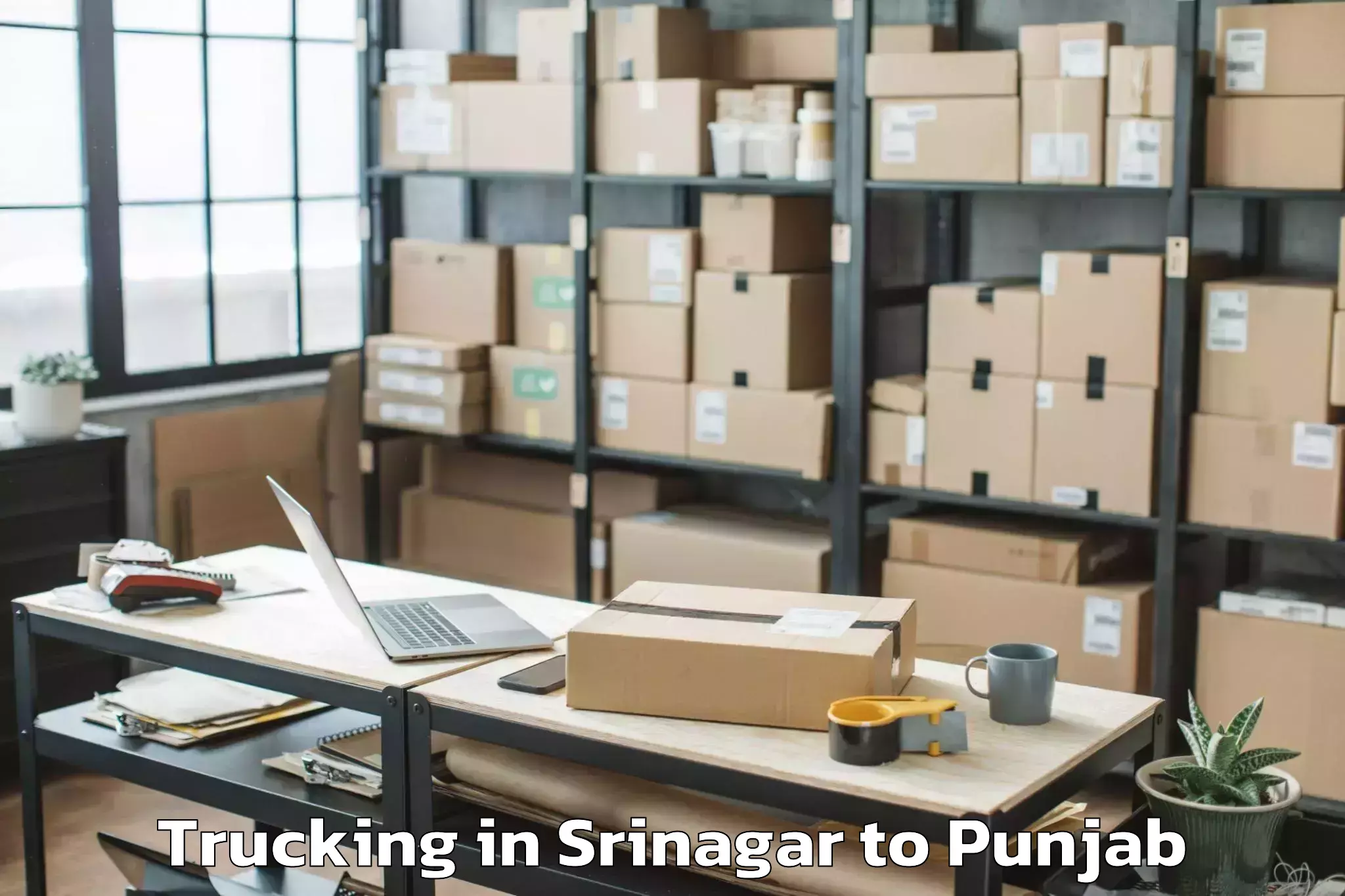 Professional Srinagar to Sujanpur Trucking